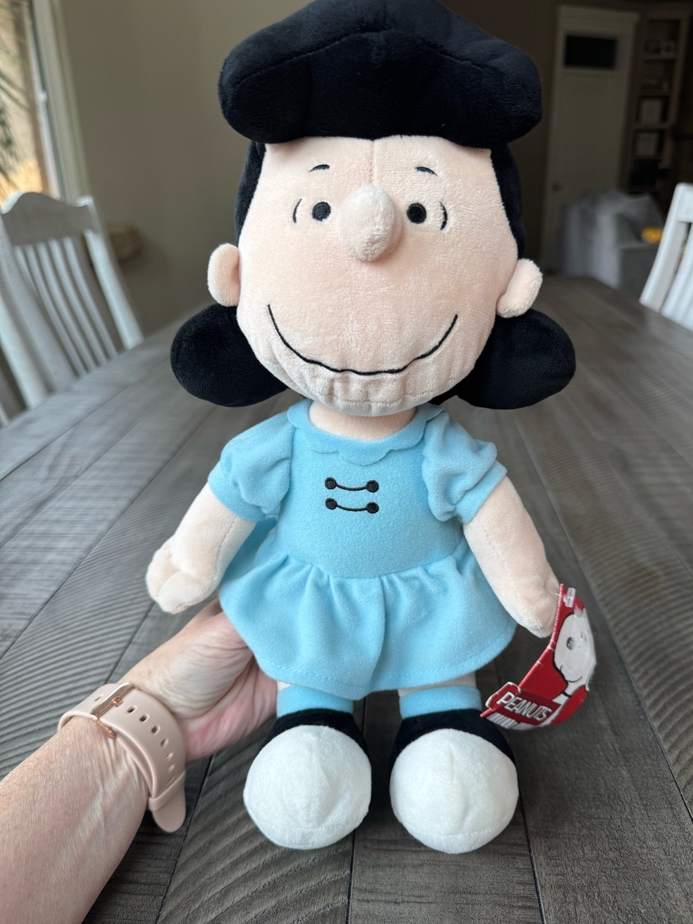 Lucy Plush Doll - Peanuts Comic Strip Kohl's Cares Plush (NWT)